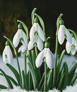 Snow Drops Floral Diamond Painting