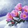 Snowy Blossoms Diamond Painting