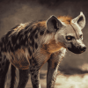 Spotted Hyena Animal Diamond Painting