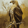 Spotted Indian Eagle Diamond Painting