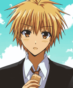 Takumi Usui from Maid Sama Diamond Painting