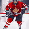 Team Canada Hockey Stars Diamond Painting