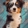 Toy Aussie Puppies Diamond Painting