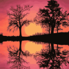 Tree Silhouette Scenery Diamond Painting