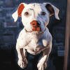 Underdog Puppy Friends Diamond Painting