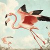 Vintage Flamingo Bird Diamond Painting