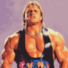 WWE Owen Hart Wrestler Diamond Painting