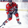 Washington Capitals Ice Hockey Diamond Painting