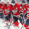 Washington Capitals Players Diamond Painting