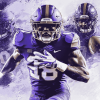 Washington Huskies Football Diamond Painting