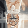 Wild Cats Reflection Diamond Painting