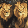 Wild Lion Majesty Diamond Painting