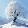 Winter Wonderland Tree Diamond Painting