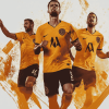 Wolverhampton Footballers Diamond Painting