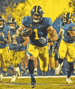 Wolverine Football Stars Diamond Painting