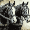 Workhorse Animal Diamond Painting