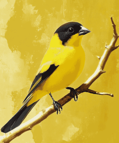 Yellow Finch Bird Diamond Painting