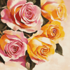 Yellow and Pink Rose Blossoms Diamond Painting